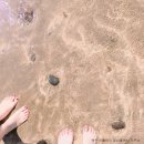 드림타워공인중개사사무소 이미지