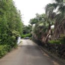 강정동-9 이미지