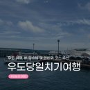 턴업우도점 | [우도 당일치기] 우도 여행 배시간, 하우목동항 타는 법 부터 맛집, 액티비티 코스까지