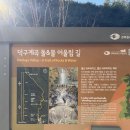 비비큐덕구