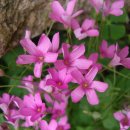 순천금당중학교 이미지