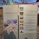 화순 쌍봉사 철감  | 산사기행 49_전남화순 사자산쌍봉사