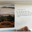 호남창의동맹단 의병 이미지