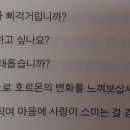 효선약국 이미지