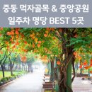 부천시 공영노외 주차장(4호) | 신중동역 주차장 완벽 정리! 부천중앙공원 &amp; 먹자골목 갈 때 필수 체크 (일주차 꿀팁)