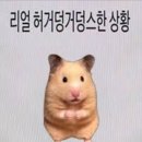 3월 마무리: 힘들면 힘내려 문어지지 마요네즈