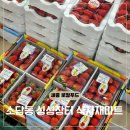 법원사거리~한두레마트 | 세종 로컬푸드 직매장 싱싱장터 소담점 식자재마트