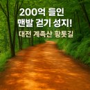 비래사 앞 | 이웃집백만장자 소주회장 200억 계족산 황톳길 위치·맛집 총정리