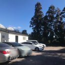 해조식당 | [서귀포] 서호동 제주 전통음식 몸국 고사리 해장국 맛집 '탐나는 식당' 후기