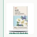 라벤더&바닐라