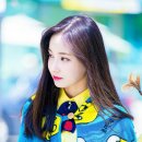 다빈 이미지
