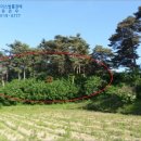 강원도교육연수원 별관(2) | [ 병산동, 경매 ] 강릉시 병산동 산41-2 경매매물 [더에이스]