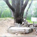 금천목장 이미지