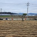 금성면사무소 화장실 이미지