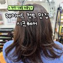 시크헤어 | 신부동 미용실 컷트맛집 레이어드컷 시크헤어 후기
