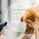 한국1농장 이미지