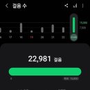 어룡2통 300-10 마을진입로 | 남양주 [예봉산] 탐방기 : 산 봉우리 3개 넘기! (예봉산 4코스 소요시간)