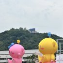 나도 볼파크 직관 후기 이미지