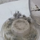 은하수세탁 이미지