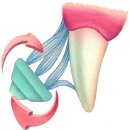 미소 동물병원 이미지