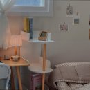 스테이카루 여성전용 이미지