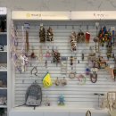 리프패럿 롯데마트 광복점 이미지