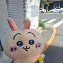 동대구뽑기역 이미지