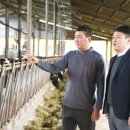 부흥목장 이미지