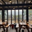 선일초등 이미지