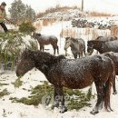 성읍리-13 이미지