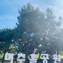 미추홀공원 다례원 | 인천 가볼만한 공원 미추홀공원 연못 호수 분수 산책로
