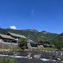 계곡여행펜션 | 숙소 I 찐친들과 보은 여행 🏕️ 보은 계곡 펜션 후기