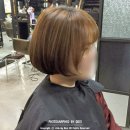 주노헤어커커 | 정자 이철 단발 컷 후기 - 단발머리 / 머쉬룸헤어 / 분당 컷트 / 미용실 추천 / 정자 이철헤어커커