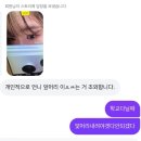 바보주유소 | 이 블로그를 12월 전에 봤다면, 당신은 정말 바보다