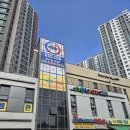 용인대 최강 태권도장 이미지