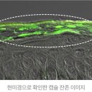 우리가치 - 남양주시 재재기로 50-16 | 우리가치