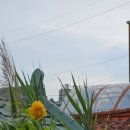 송화로35번길 20-2 이미지