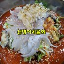 썬밸리cc 맛집 선영이네물회전문점 봉포해수욕장 맛집 혼밥 후기