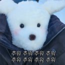 2025.1月. 쥐기는 새해 일정 (부산여행🚃)
