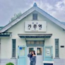 가은농장 | 개미취보러 문희농원 갔다가 이코스 어때요?(맛집 카페 포토존 내돈내산추천)