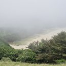 토끼섬