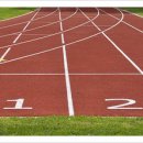 Y멀티짐 이미지