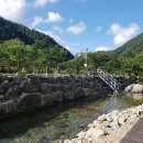 횡성 산울림오토캠핑장 이미지