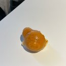 봉쥬르폼피 이미지