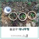 주식회사 로제트 | 숲교구-로제트 자연미술