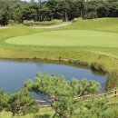 델피노숲 이미지