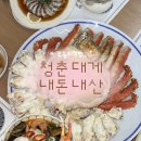 청춘 | " 여수 청춘대게 " 내돈내산 솔직후기 🦀