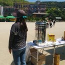 답내초등학교(병설) 이미지