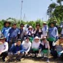 맹동면사무소 이미지