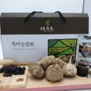 백세농업 이미지